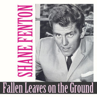 Shane Fenton - Fallen Leaves on the Ground