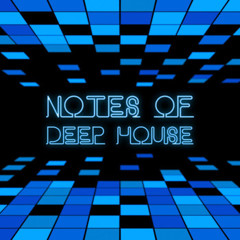 Various Artists - Notes of Deep House