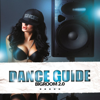 Various Artists - Dance Guide Bigroom 2.0