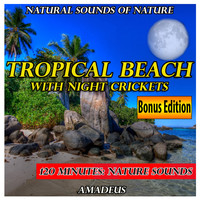 Amadeus - Tropical Beach with Night Crickets: Natural Sounds of Nature: Special Edition
