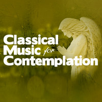 Antonio Vivaldi - Classical Music for Contemplation