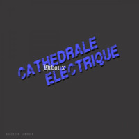 Hiboux - Cathedrale Electrique