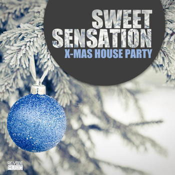 Various Artists - Sweet Sensation - X-Mas House Party