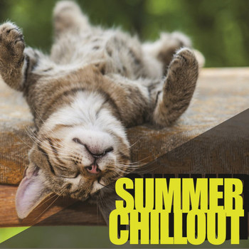 Various Artists - Summer Chillout