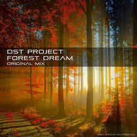DST Project - Forest Dream