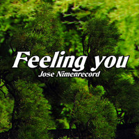 Jose NimenrecorD - Feeling You