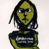 Damien Rice - Rootless Tree (Explicit)