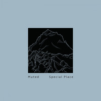 Muted - Special Place