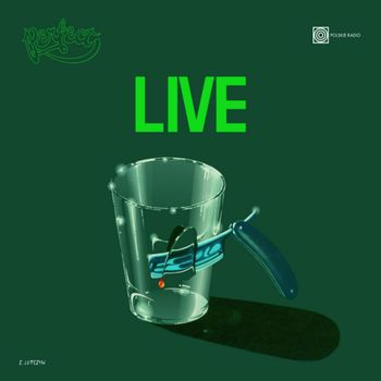 Perfect - Perfect Live
