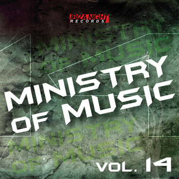 Various Artists - Ministry of Music Vol. 14