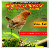 Amadeus - Morning Birdsong for Waking Refreshed: Natural Sounds of Nature