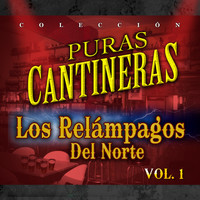 Los Relampagos Del Norte - Puras Cantineras, Vol. 1