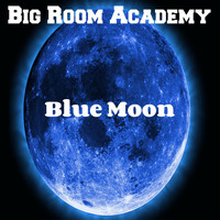 Big Room Academy - Blue Moon