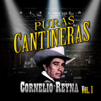 Cornelio Reyna - Puras Cantineras, Vol. 1