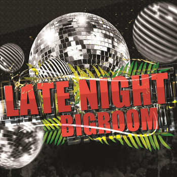 Various Artists - Late Night Bigroom
