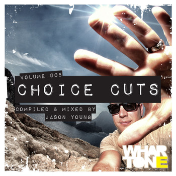 Various Artists - Choice Cuts Vol. 005 Mixed by Jason Young