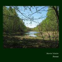 Martin Schulte - Forest