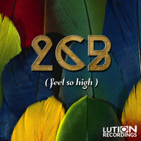 2CB. - Feel So High