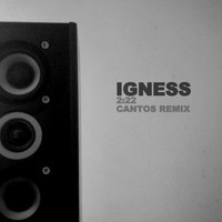 Igness - 2:22 (Cantos Remix)