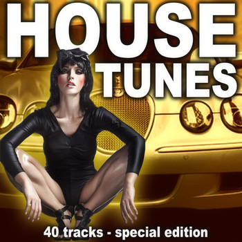 Various Artists - House Tunes