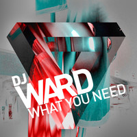 DJ Ward - What You Need