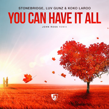 StoneBridge, Luv Gunz, Koko LaRoo - You Can Have It All (Remixes)