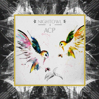 Acp - Nightowl