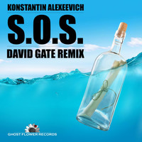 Konstantin Alexeevich - S.O.S. (David Gate Remix)