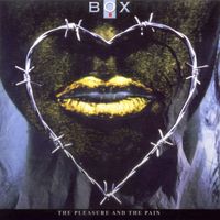 The Box - The Pleasure and the Pain