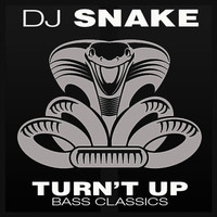 DJ Snake - Turn’t Up