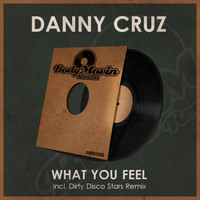 Danny Cruz - What You Feel