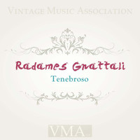 Radames Gnattali - Tenebroso