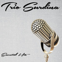 Trio Surdina - Essential Hits