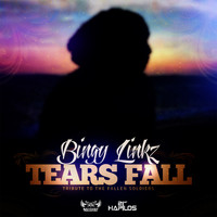 Bingy Linkz - Tears Fall - Single