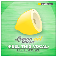 Level Groove - Feel This Vocal