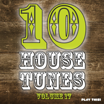 Various Artists - 10 House Tunes, Vol. 17