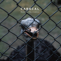 Caracal - Welcome the Ironists (Explicit)