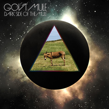 Gov't Mule - Dark Side of the Mule (Standard Edition)