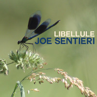 Joe Sentieri - Libellule