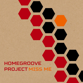 Homegroove Project - Miss Me