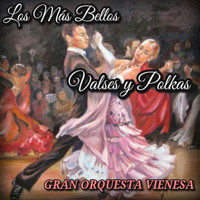 Gran Orquesta Vienesa - Los Más Bellos Valses y Polkas
