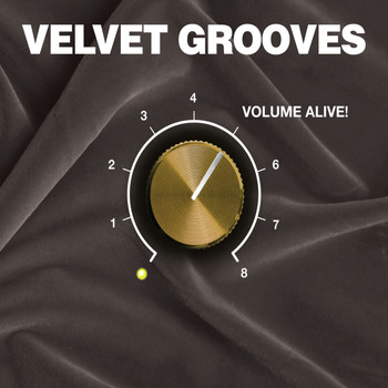 Various Artists - Velvet Grooves Volume Alive!