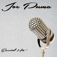Joe Puma - Essential Hits