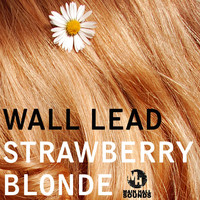 Wall Lead - Strawberry Blonde