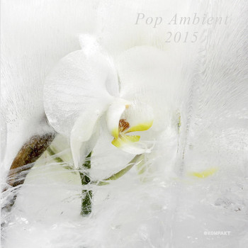 Various Artists - Pop Ambient 2015