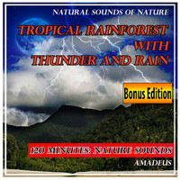 Amadeus - Tropical Rainforest with Thunder and Rain: Natural Sounds of Nature: Bonus Edition
