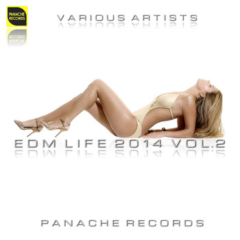 Various Artists - EDM Life 2014 Vol.2