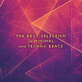 Various Artists - The Best Selection of Minimal and Techno Beats
