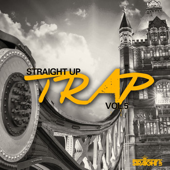 Various Artists - Straight Up Trap! Vol. 5