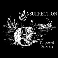 Insurrection - Purpose of Suffering